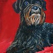 Black Schnauzer Pet Portrait Prints Art Print