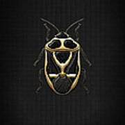 Black Shieldbug With Gold Accents On Black Canvas Art Print
