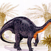 Blikanasaurus Dinosaur Art Print