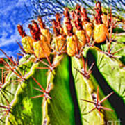 Blooming Barrel Cactus By Diana Sainz Art Print