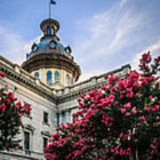 Blossoms At The State House Art Print