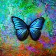 Blue Butterfly On Colorful Background Art Print