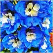 Blue Delphinium From My Garden Art Print