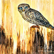 Blue Eyed Owl Art Print