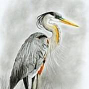 Blue Heron 3 Art Print