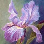 Blue Indigo Iris Art Print