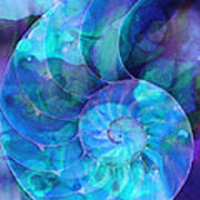 Blue Nautilus Shell By Sharon Cummings Art Print