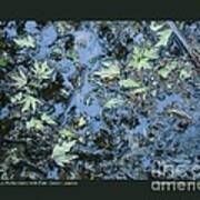 Blue Reflections With Pale Green Leaves Art Print