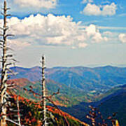 Blue Ridge Parkway Art-trees And Mountains Art Print