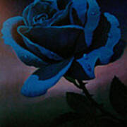 Blue Rose Art Print