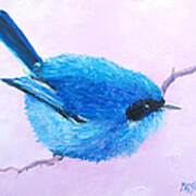 Bluebird Art Print