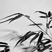 Bokeh Bamboo Art Print