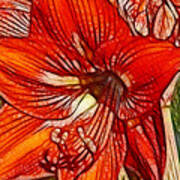 Bold Red Amaryllis Art Print