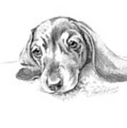 Bored. Little Dachshund Art Print