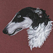 Borzoi Art Print