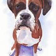 Boxer Art Print