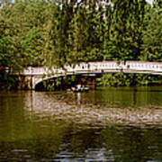 Bridge Across A Lake, Central Park Art Print