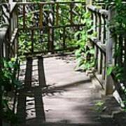 Bridge In Woods Art Print
