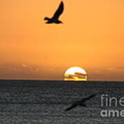 Brighton Sunset South Australia Art Print