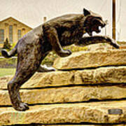 Kansas State Bronze Wildcat Art Print