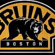 Bruins In Boston Art Print