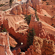 Bryce Canyon Trail - Utah Art Print