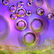 Bubbles And Plant Tissue Art Print