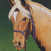 Buckskin Horse Art Print