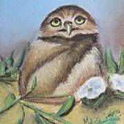 Burrowing Owl Of Cape Coral Art Print