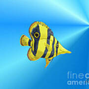 Butterfly Fish Art Print
