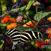 Butterfly Garden 14 - Zebra Heliconian Art Print
