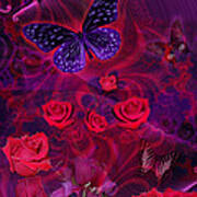 Butterfly Rose Art Print