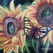 Butterfly Series 5 Art Print