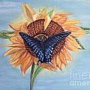 Butterfly Sunday In The Summer Art Print