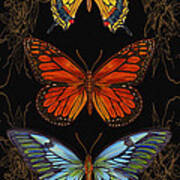 Butterfly Treasures-willa Belle Art Print