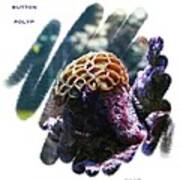 Button Polyp No. 1 Art Print