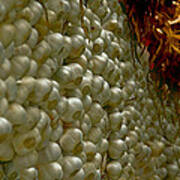 Byward Market Wall Of Garlic Cloves Art Print