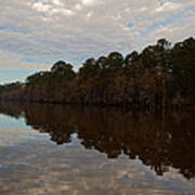 Caddo Lake Bald Cypress Reflection Art Print