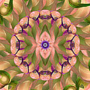 Calla Lotus Kaleidoscope Art Print