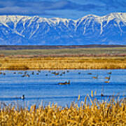 Camas National Wildlife Refuge Art Print