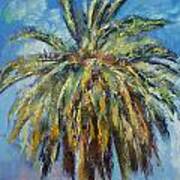 Canary Island Date Palm Art Print