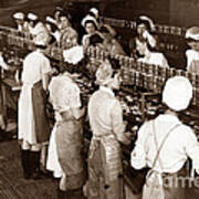 Canning Line On Montereys Cannery Row Circa 1945 Art Print
