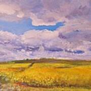 Canola And Clouds Art Print