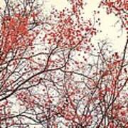 canopy trees II Art Print canopy trees II Art Print