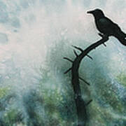 Canyon Denizen Or Torrey Pine Remains With Raven Art Print