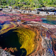 Caño Cristales, River Of Five Colors Art Print