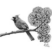 Cardinal Bird On Branch Art Print