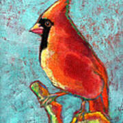 Cardinal On Blue Art Print