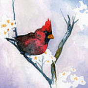 Cardinal Art Print