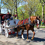 Carriage Ride In Central Park Art Print
